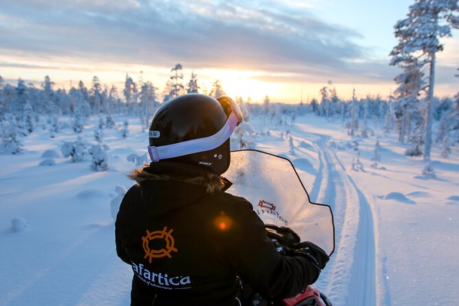 Scenic Snowmobile Safari in Saariselkä - Pace and Expectations: How Fast It Gets