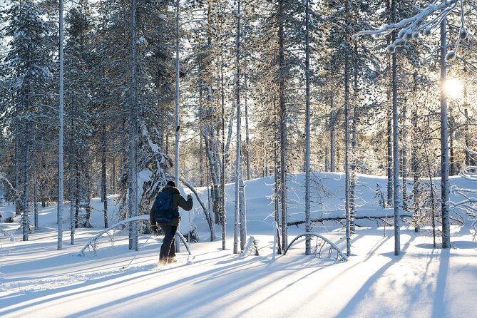 Ski Trek to the Wilderness - Extra Small group - The Trek Itself: Forests, Frozen Water, and Wildlife Clues in the Snow