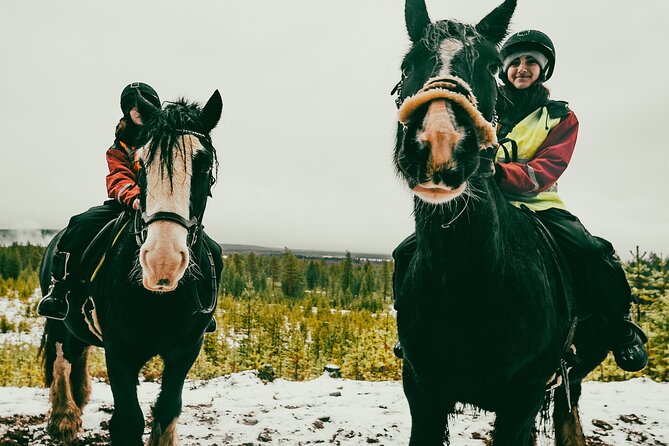 Small-Group Arctic Circle Horse Riding from Rovaniemi - Arctic Circle horse riding that actually feels personal