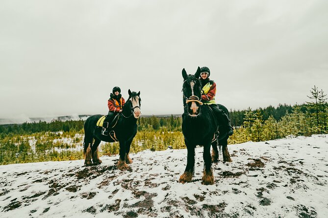 Small-Group Arctic Circle Horse Riding from Rovaniemi - The ride itself: forest paths, Lapland weather, and a steady pace