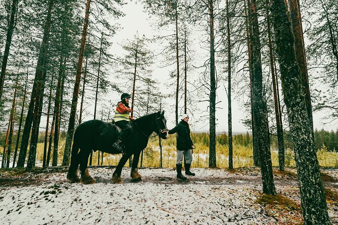 Small-Group Arctic Circle Horse Riding from Rovaniemi - Who should book this ride, and who should skip