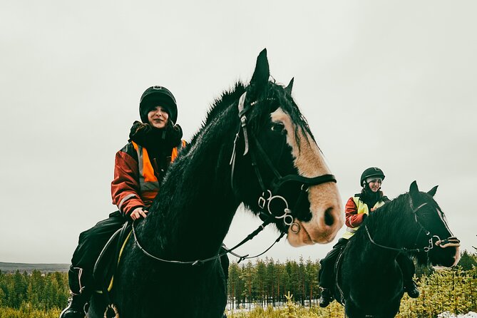 Small-Group Arctic Circle Horse Riding from Rovaniemi - What to wear and bring for comfort on a horse in Lapland