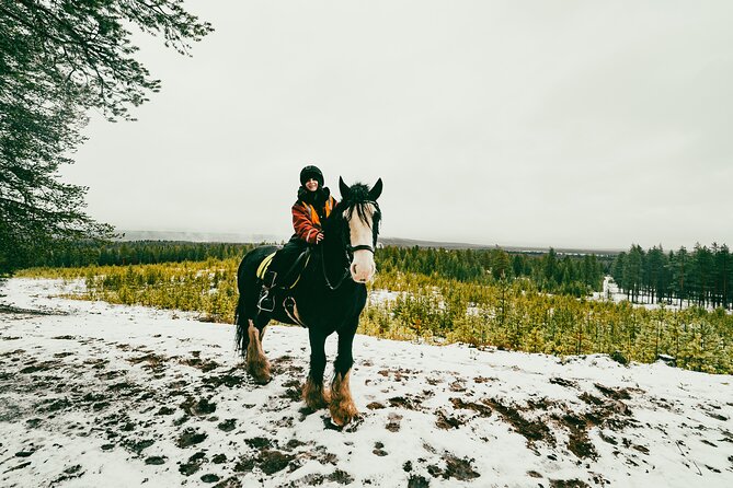 Small-Group Arctic Circle Horse Riding from Rovaniemi - Getting to the farm: quick distance, real change of scenery
