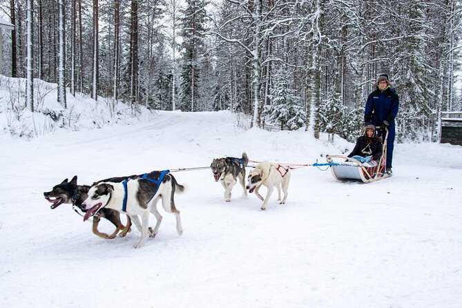 Small-Group Husky Mushing Experience in Rovaniemi - The full 4.5-hour flow, including that countryside transfer