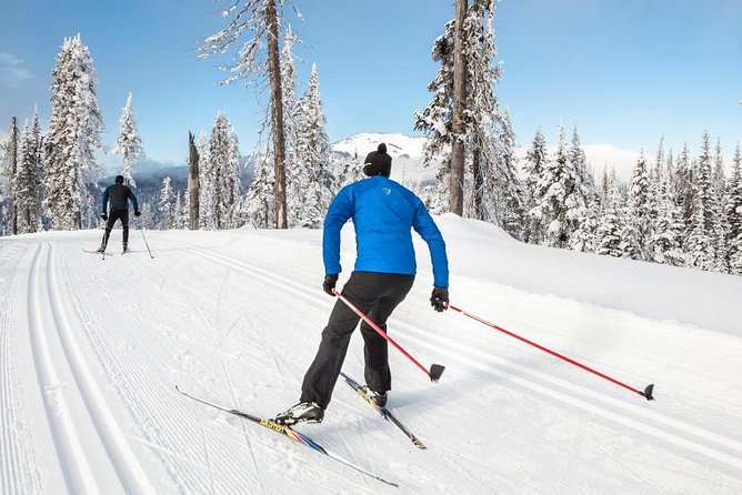 Small-Group Lapland Cross Country Ski - Rovaniemi cross-country skiing: what you get in 3.5 hours