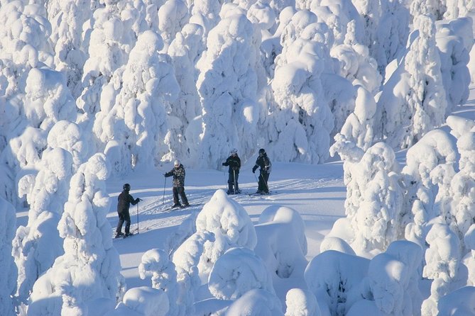 Small-Group Lapland Cross Country Ski - Who this tour suits best in Rovaniemi