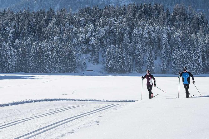 Small-Group Lapland Cross Country Ski - Price and value: why $207.21 can make sense here