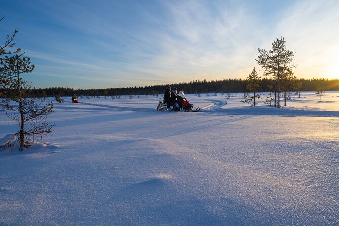 Small-Group Snowmobile Experience in Rovaniemi - Heated seating, cold comfort, and how to dress smart