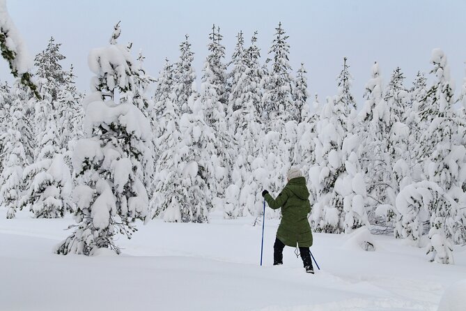 Small-Group Snowshoeing Adventure In Lapland - Key Highlights If You Want the Best of Lapland Snow Forests
