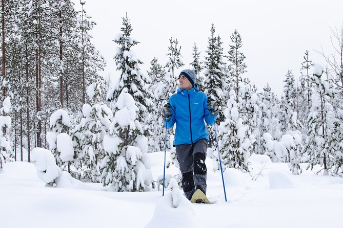 Small-Group Snowshoeing Adventure In Lapland - Small-Group Size Keeps the Forest Quiet and the Pace Human