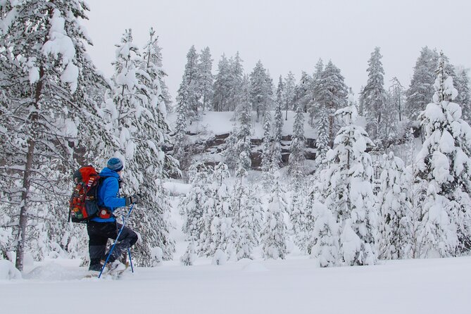 Small-Group Snowshoeing Adventure In Lapland - Weather, Timing, and Why Clear Skies Matter Here