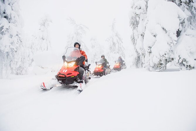 Snowmobile Adventure in Lapland - The route experience: Taiga forests, picture stops, and real riding time