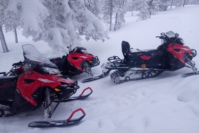 Snowmobile and Ice Fishing Excursion (private tour) - Ice Fishing on a Frozen Lake: Lesson First, Catch Is Bonus