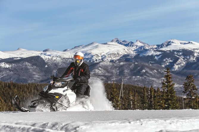 Snowmobile & Animals Day Tour - What this tour really is: a packed Lapland hit