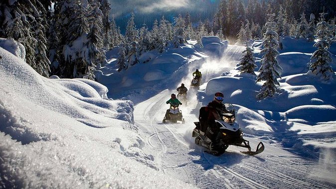 Snowmobile & Animals Day Tour - Stop 1: Snowmobiling, driving rules, and why this is the main event