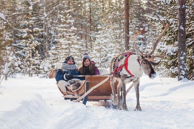 Snowmobile & Animals Day Tour - Price and value: is $276.95 per person worth it?