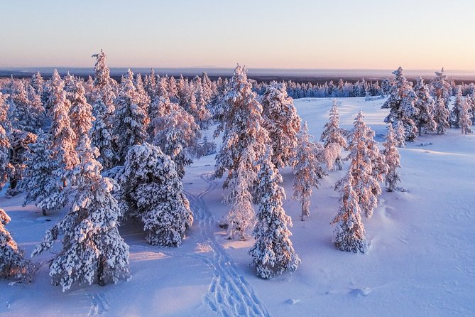 Snowmobile Driving - Morning start - Driving License Rules: The One Paper Detail That Can Change Your Plans