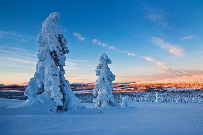Snowmobile Driving - Morning start - Driver and Passenger Time: A Smarter Way to Enjoy the Ride
