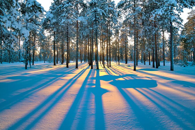 Snowmobile Safari 2h - Should You Book This Snowmobile Safari From Access Lapland?