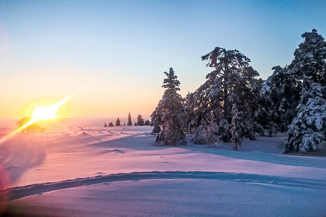 Snowmobile Safari in the Nature - Transportation and timing: a 10:00 am start with a calmer day