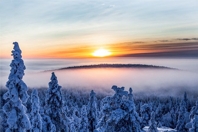 Snowmobile Safari in the Nature - Solo driving, licenses, and the one detail you should not miss