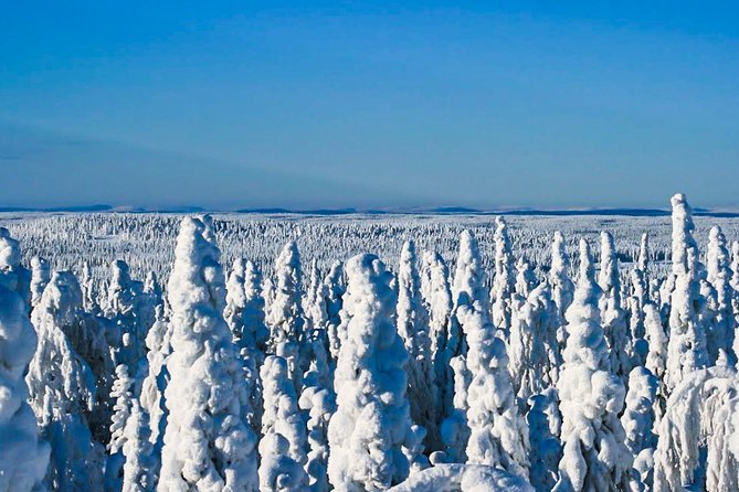 Snowmobile Safari in the Nature - Safety and the hard question: vehicle damage and insurance concerns