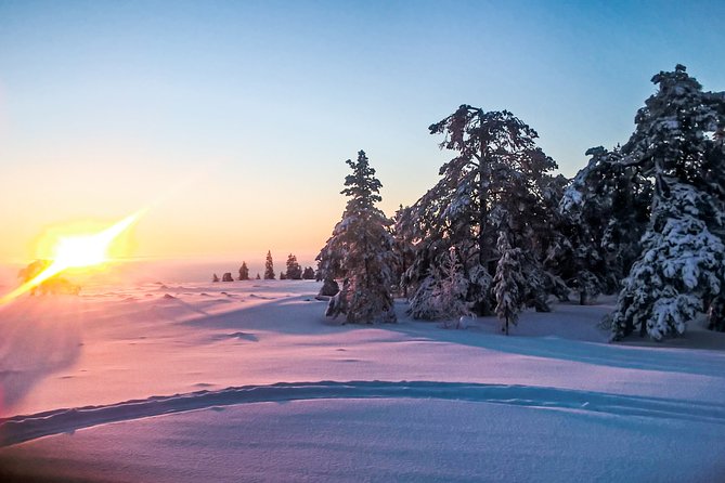 Snowmobile Safari in the Nature - Morning start - Why a Morning Lapland Safari Feels Different From the Evening