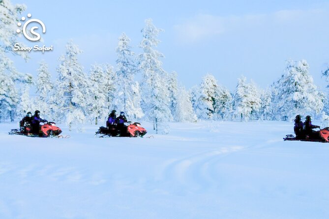 Snowmobile Safari into Arctic Wilderness - Driving into Arctic wilderness: what the ride feels like