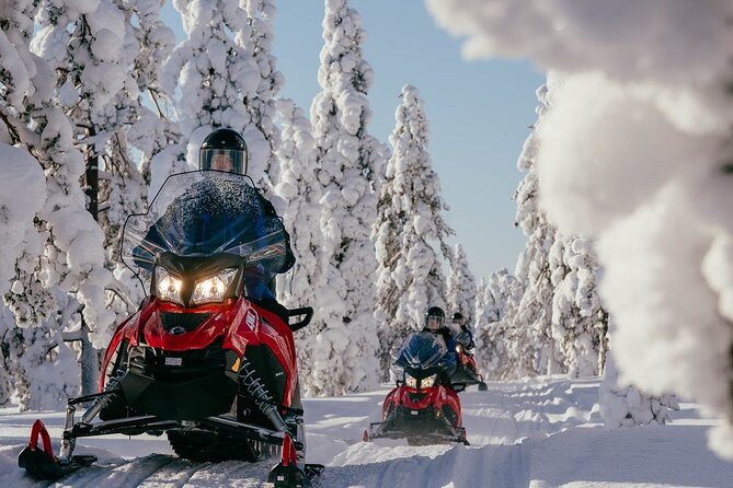 Snowmobile Safari into the Arctic Circle Forest - Entering The Arctic Circle On Off-Road Forest Trails