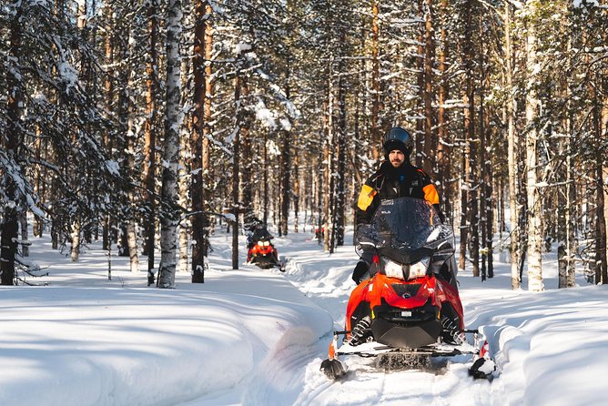 Snowmobile Safari into the Arctic Circle Forest - Thermal Gear That Actually Changes Your Comfort Level