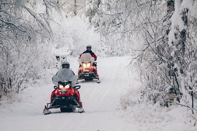 Snowmobile Safari into the Wilderness, Apukka Resort Rovaniemi - Shared Guide and Group Size: The Pace and Comfort Tradeoff
