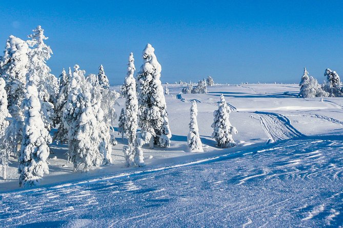 Snowmobile Safari on the Tundra - Entering Saariselka tundra, the practical way