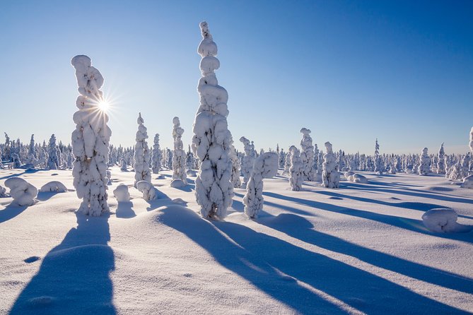 Snowmobile Safari on the Tundra - Gear, snacks, and staying warm when everything is cold