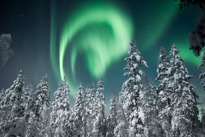 Snowmobile Safari to Search for the Northern Lights - The Snowmobile Setup: Two Seats, Driving Rules, and What to Expect