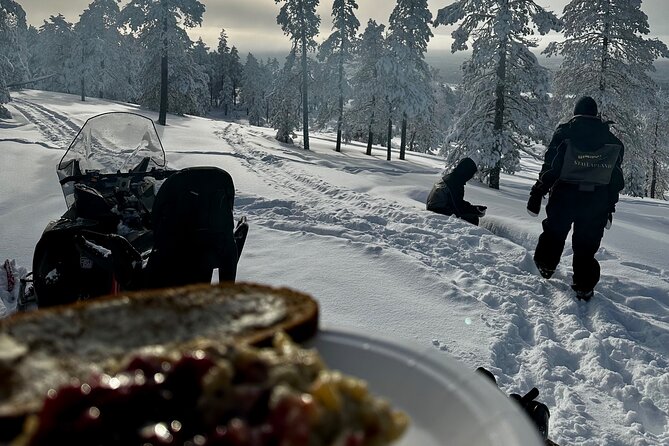 Snowmobile Safari to the Wilderness - Key Highlights You Should Care About