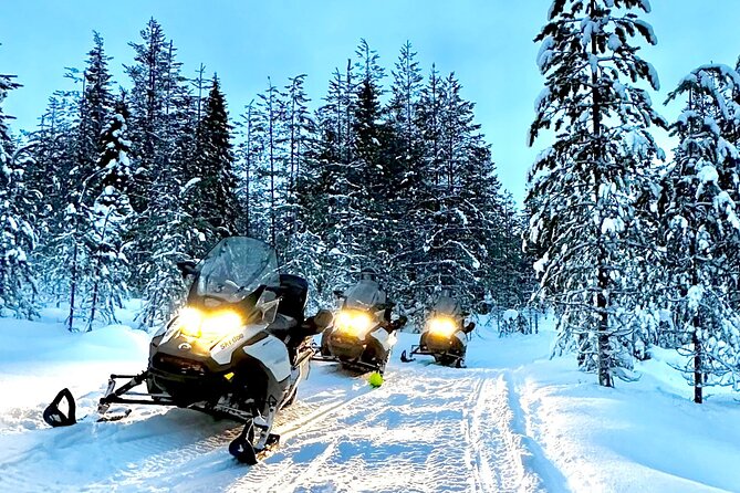 Snowmobile Safari to the Wilderness - The Snowmobile Ride: What You’re Really Signing Up For