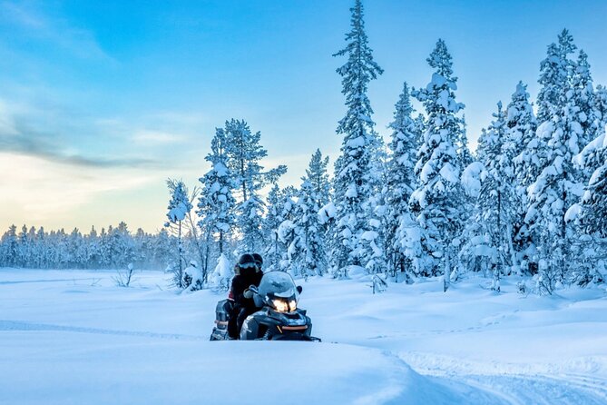 Snowmobile Tour with Small Group in Remote Wilderness 3 Hours - What Makes This 3-Hour Ride Feel Special