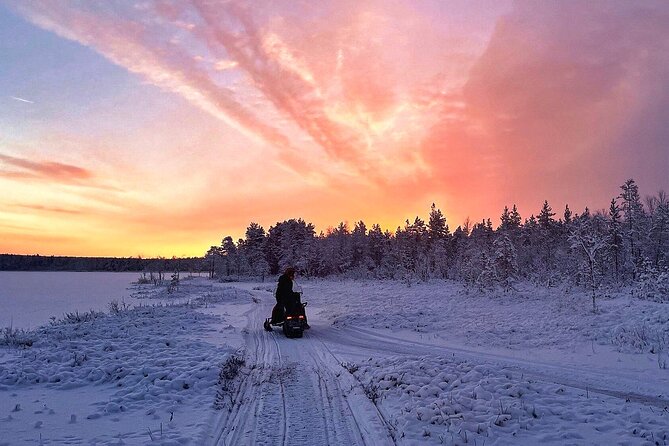 Snowmobile Tour with Small Group in Remote Wilderness 3 Hours - The Route: Forest Trails, Frozen Lakes, and Photo Stops