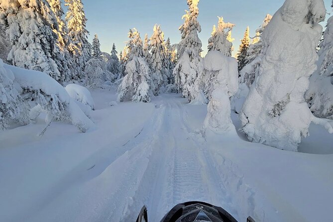 Snowmobile Tour with Small Group in Remote Wilderness 3 Hours - Families and Kids: The Covered Sledge Setup