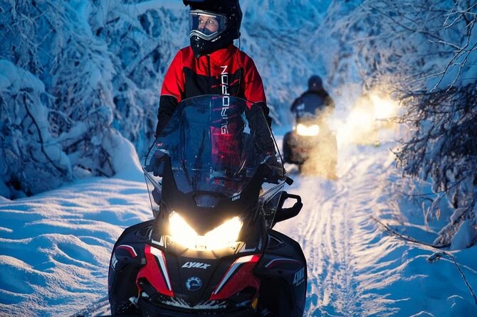 Snowmobile Tour with Small Group in Remote Wilderness 3 Hours - Snowmobile Comfort and Safety Features You Can Feel