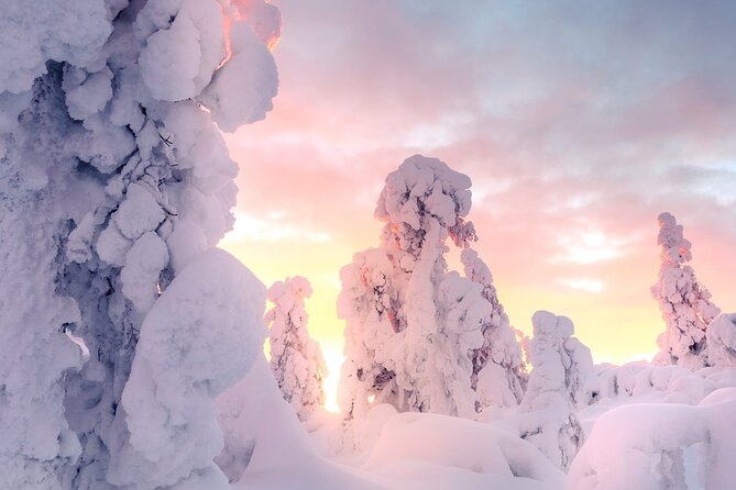 Snowmobile Tours in Rovaniemi Lapland - Key reasons to pick Snowride Lapland in Rovaniemi
