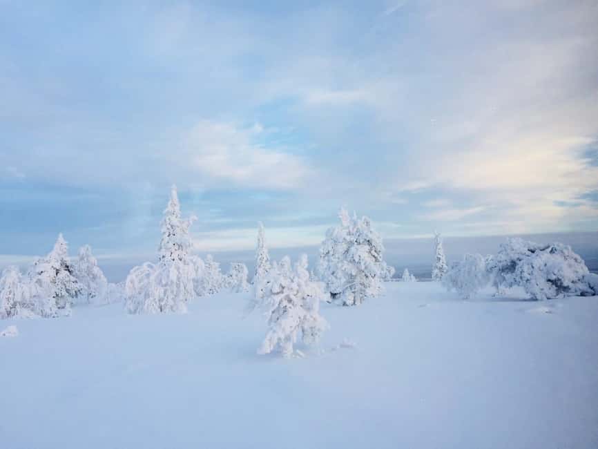 Snowshoe experience with traditional beverages in Lapland - Lapland snowshoeing from Hotel Santa Claus, with warm breaks built in