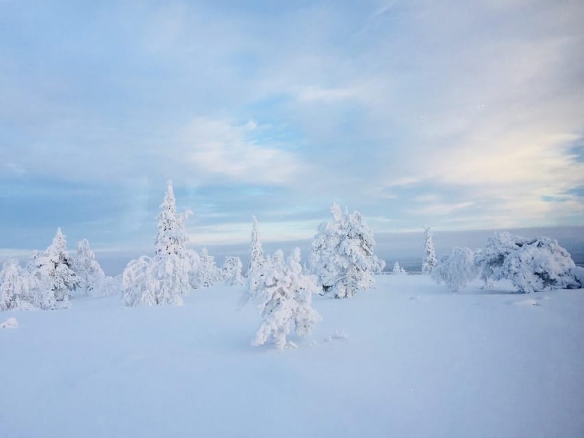 Snowshoe experience with traditional beverages in Lapland - Packing tips that actually matter for snowshoe comfort