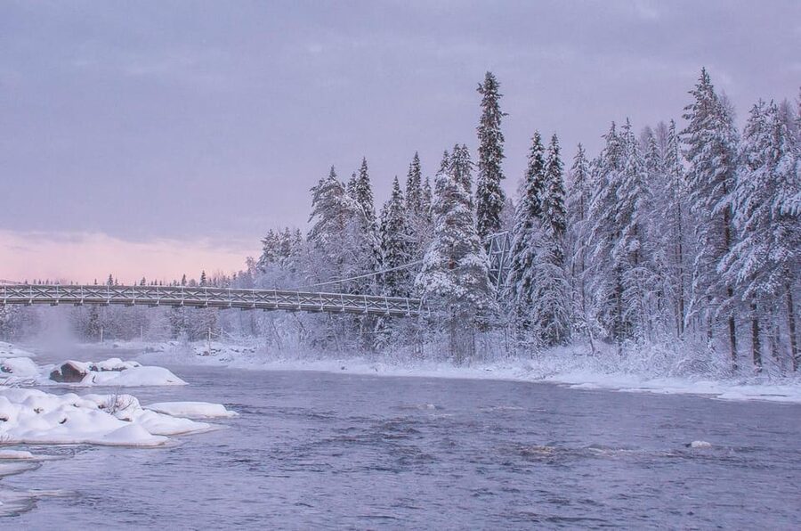 Snowshoe experience with traditional beverages in Lapland - Should you book this Lapland snowshoe with traditional beverages?