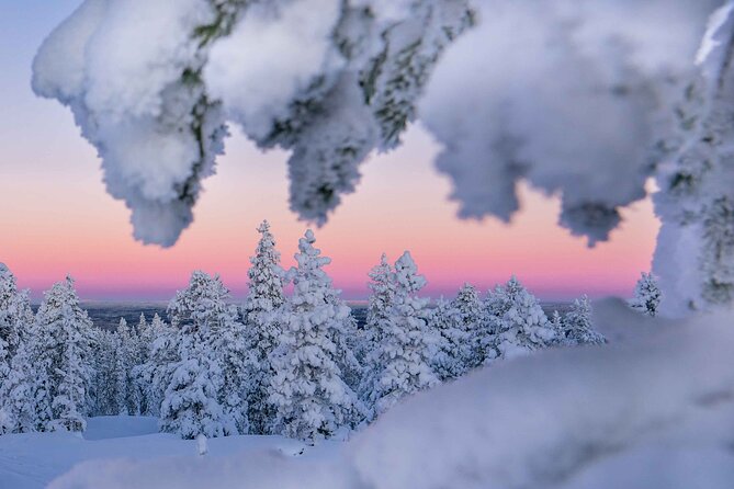 Snowshoeing Adventure with Ice-Fishing, Fire and Survival - Building Fire in Lapland: Local Materials and Survival Practice
