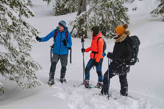 Snowshoeing Adventure with Ice-Fishing, Fire and Survival - The Campfire Break: Questions, Warmth, and Finnish Barbecue Snack