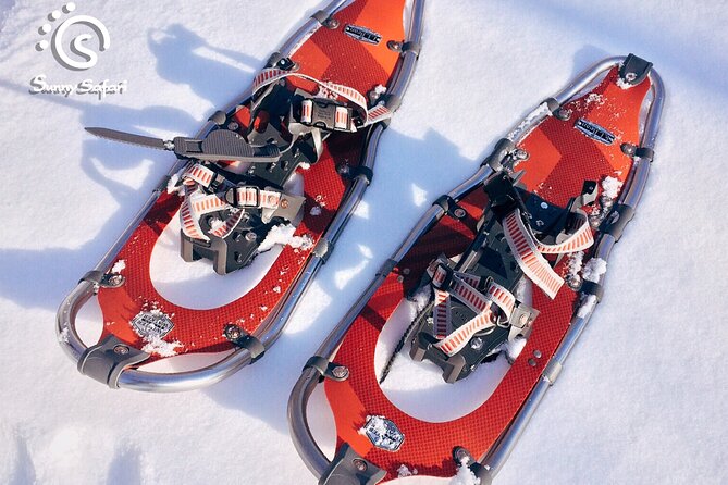 Snowshoeing in Lapland Wilderness - Guide Notes From the Snow: What You Gain Beyond Footprints