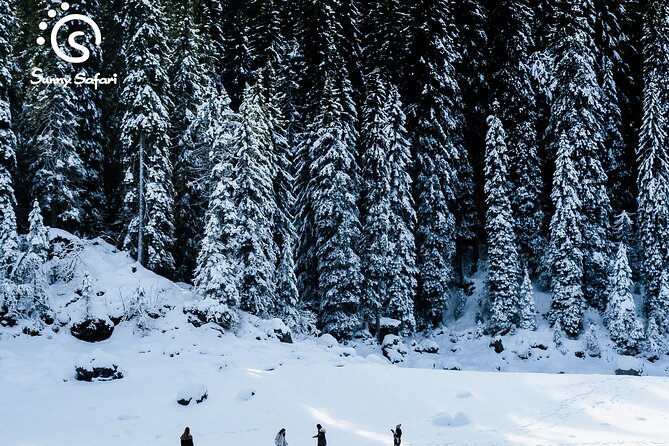 Snowshoeing in Lapland Wilderness - Meeting Point and Pickup in Rovaniemi: The Details That Save Your Time
