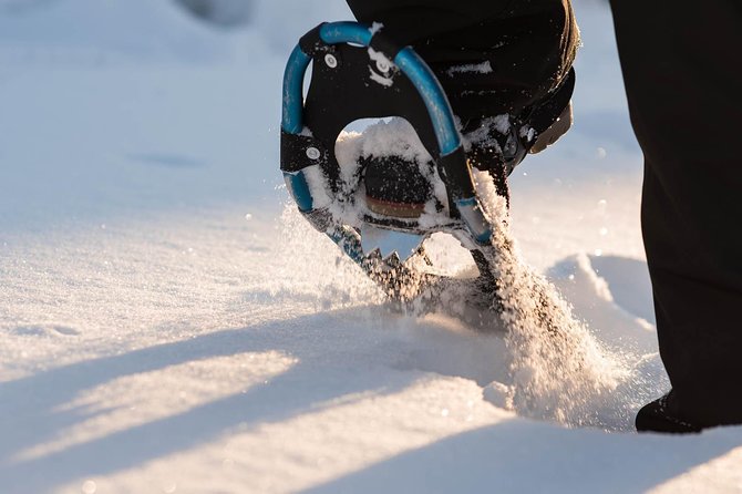 Snowshoeing in the Arctic Circle Wilderness - Snowshoes, Safety, And Why You Need Basic English