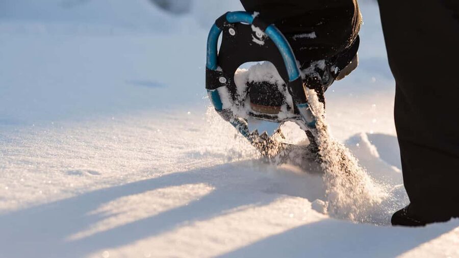 Snowshoeing in the Arctic Wilderness - Arctic Snowshoeing Key Highlights